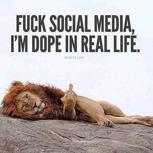 Meet your Posher, Larry